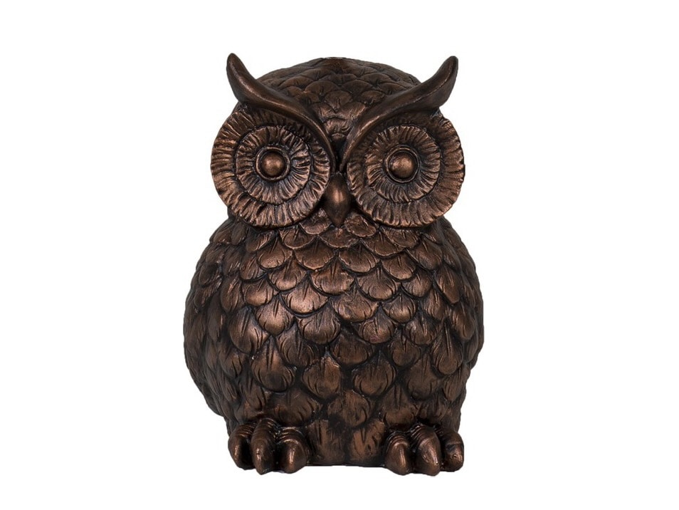 Ürün fotoğrafı - Beyaz arkaplan, Vitrin Pro öncesi